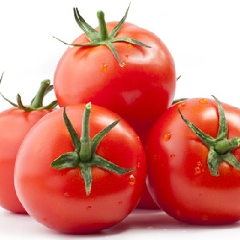 Tomaten frisch